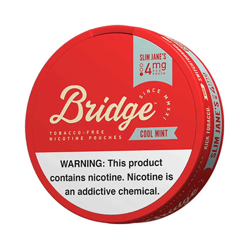 Cool Mint 4mg - Vinapouches