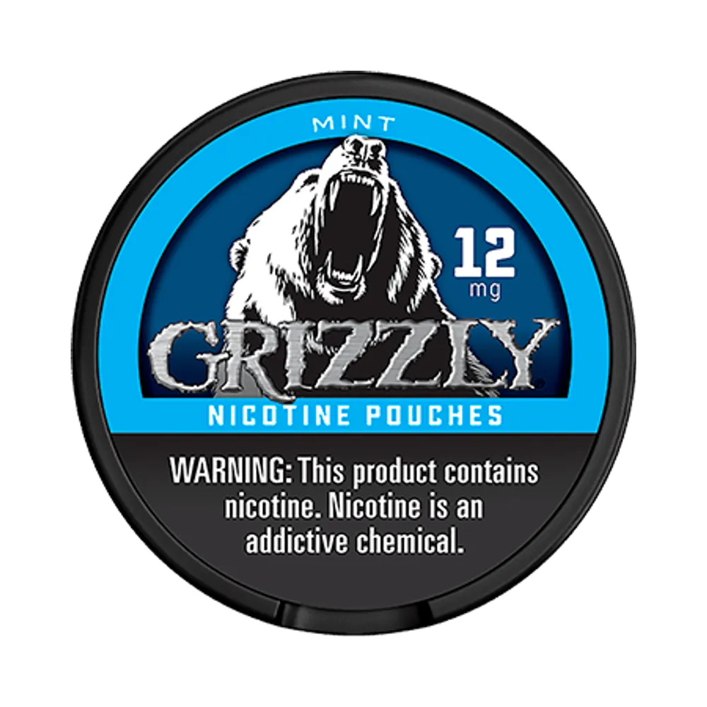 Mint 12mg - Vinapouches