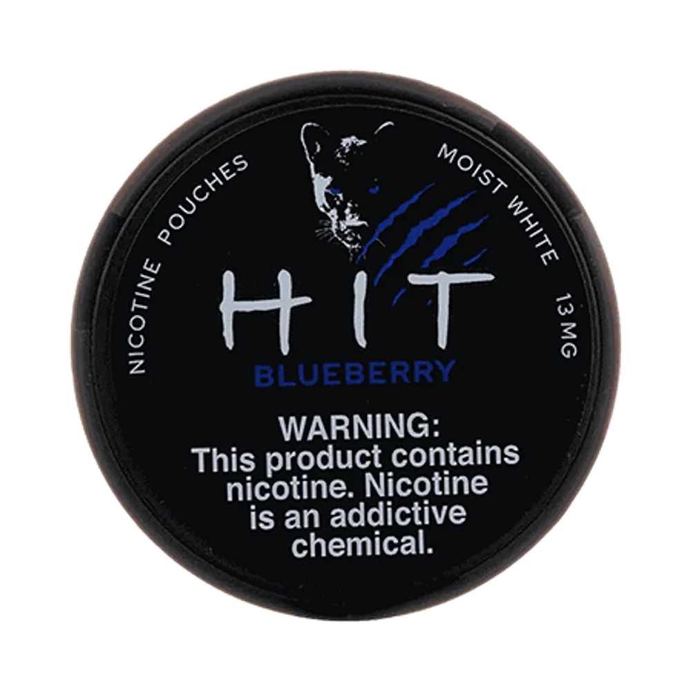 Blueberry 13mg - Vinapouches