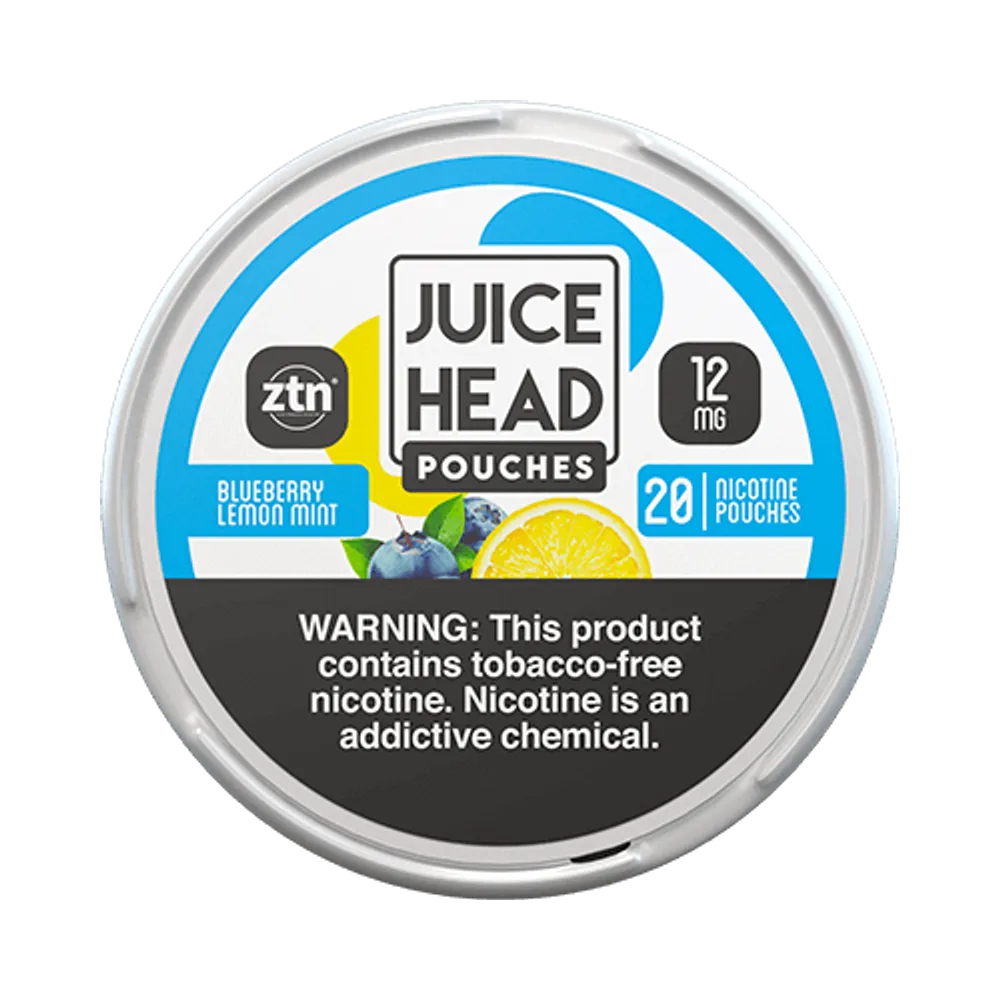 Blueberry Lemon Mint 12mg - Vinapouches