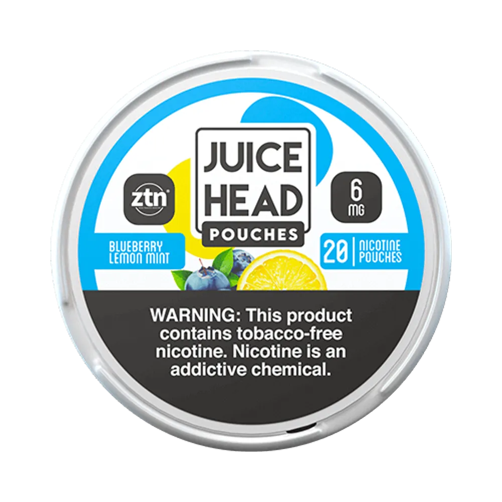 Blueberry Lemon Mint 6mg - Vinapouches