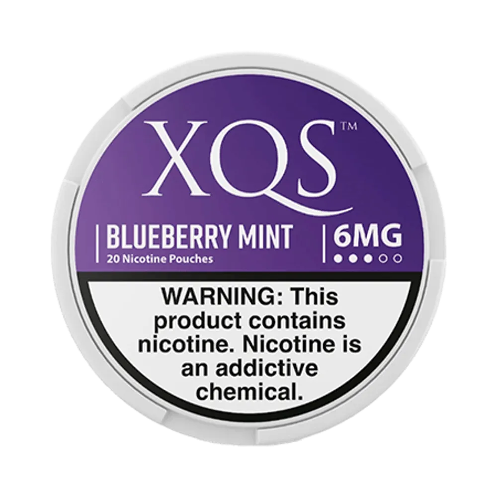 Blueberry Mint 6mg - Vinapouches