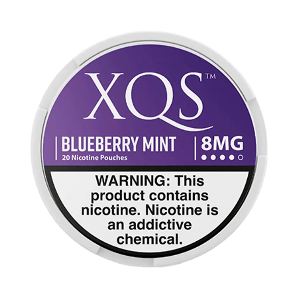 Blueberry Mint 8mg - Vinapouches