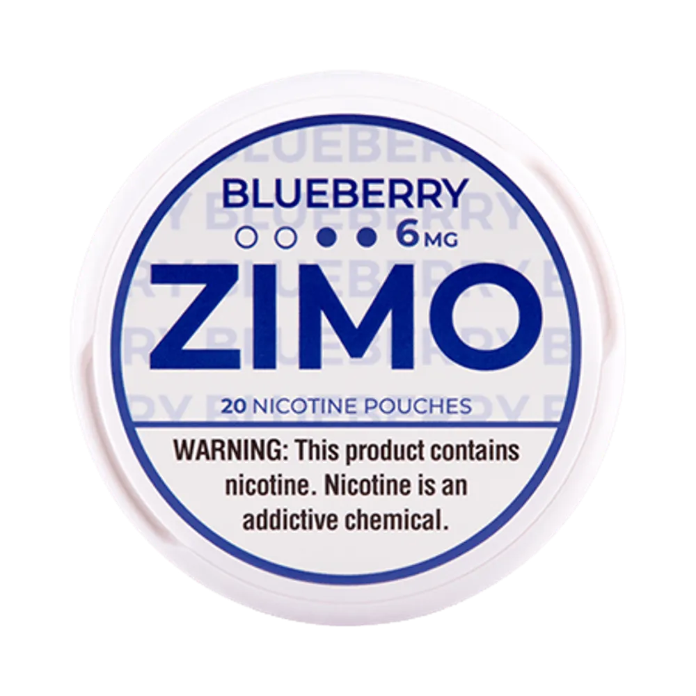 Blueberry 6mg - Vinapouches